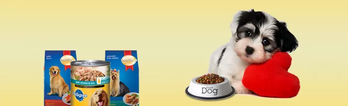 Chaldal Pet Care: How Chaldal Has Built One of the Largest Online Pet Food and Products Delivery Services In Bangladesh 2