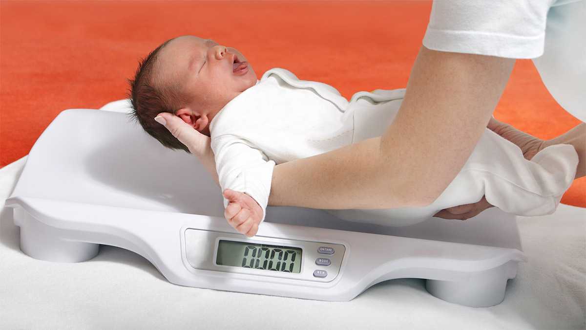 Normal Weight Standards in Babies and How To Encourage Weight Gain in your Child