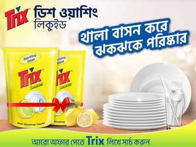Trix Dishwashing Liquid Refill 250 ml Combo Pack 2 pcs-offer